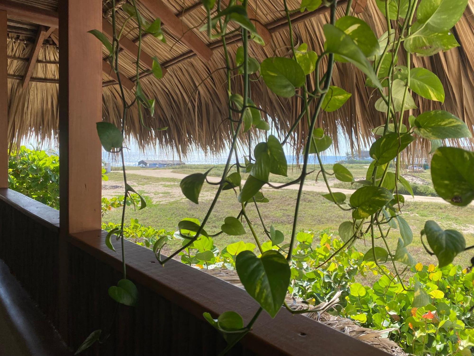 El Origen Villas & Spa-Puerto Escondido Puerto Escondido (Oaxaca) Exterior foto